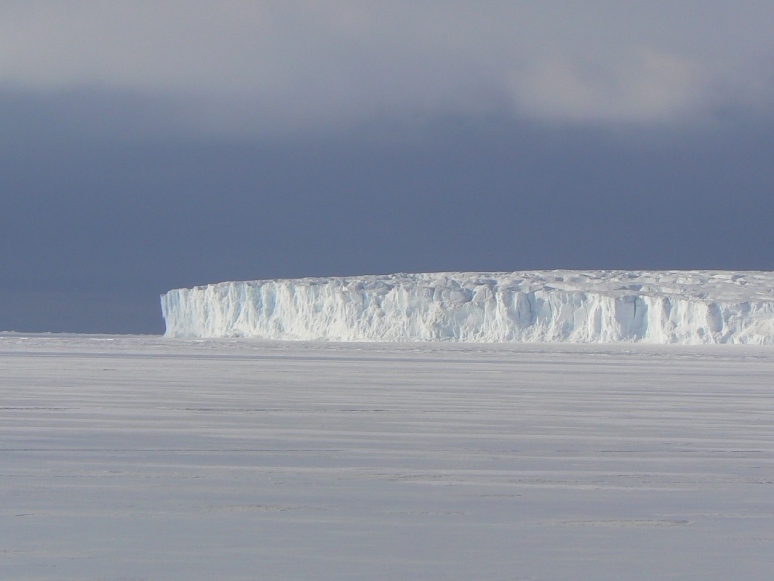 Gratuitous art photo - Barne glacier toe