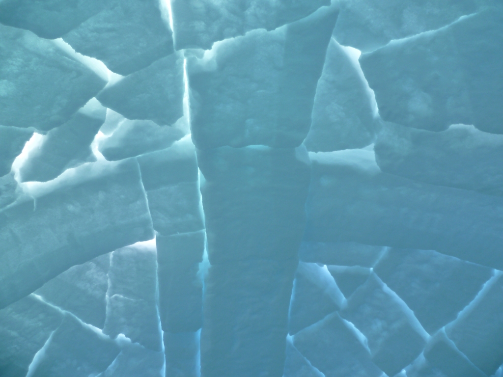 From the inside - photo credit Darcy Broughton