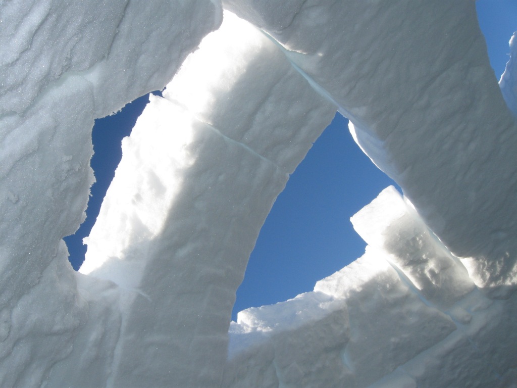 photo credit Sue Ferrar