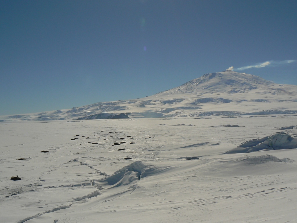 Seal colony lyng near a crack in the ice