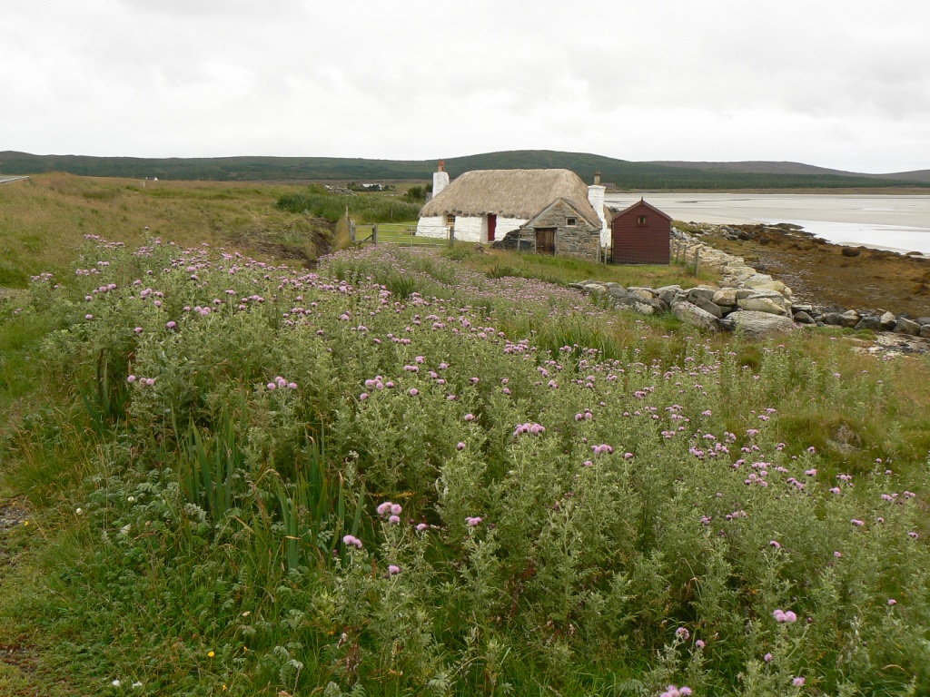 I think that we had zero thistle-free days