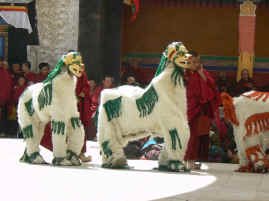 Cham snow leopards.JPG (352275 bytes)