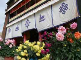 Gyantse flowers by gompa.JPG (446808 bytes)
