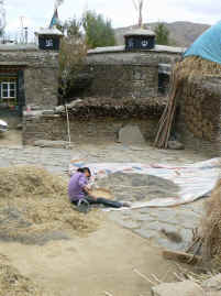 Mindroling village courtyard.JPG (238057 bytes)