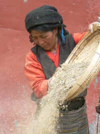 Mindroling woman winnowing.JPG (269681 bytes)
