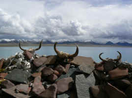 Nam Tso yak horns.JPG (235632 bytes)