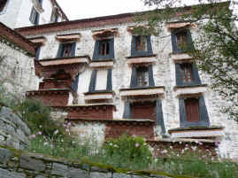 Potala tour flowers.JPG (293489 bytes)