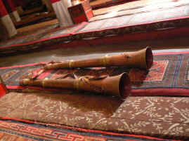 Sera horns.JPG (381332 bytes)