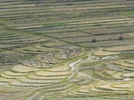 Yarlung field view.JPG (253741 bytes)